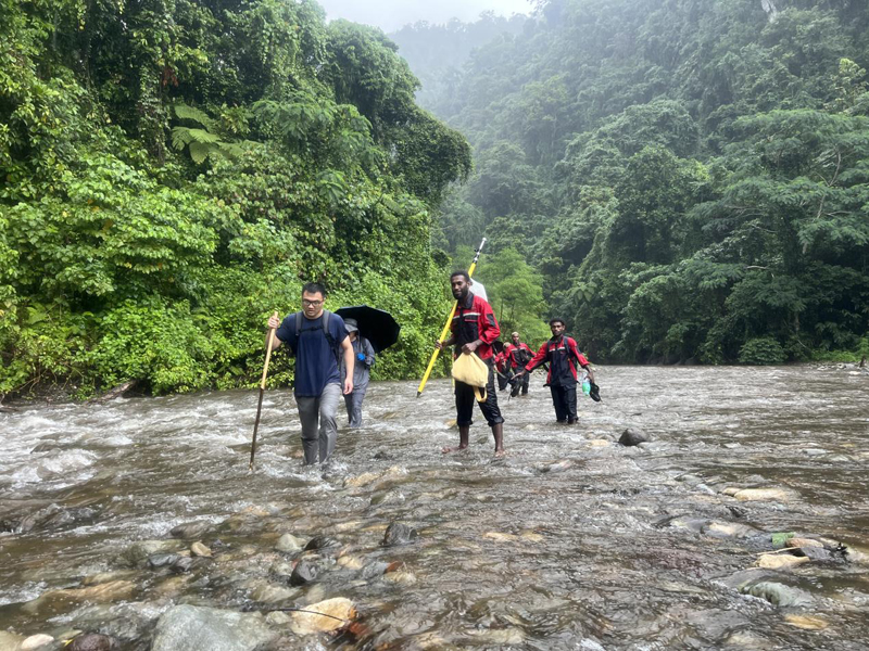 万水千山只等闲，践行六讲勇向前 ——所罗门金岭水电站项目勘察工作侧记